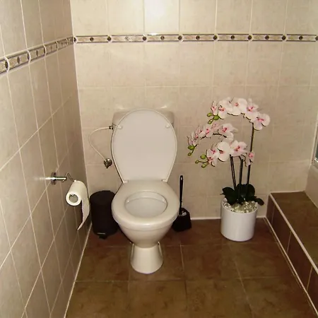 Halkrooms Pensionat Prag